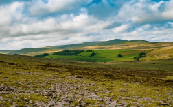 Confidence in the Countryside