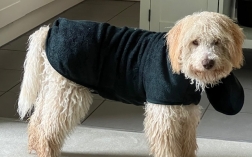 Ready for rain